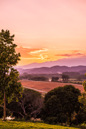 Agricultural yard in evening time, Thailand.の写真素材