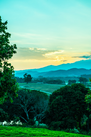 Agricultural yard in evening time, Thailand.の写真素材