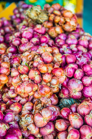 Background of red onion, Thailand.の写真素材