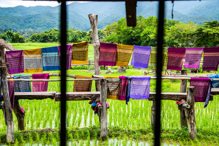 Rice field with local wooden bridge in Nan province , Thailand.