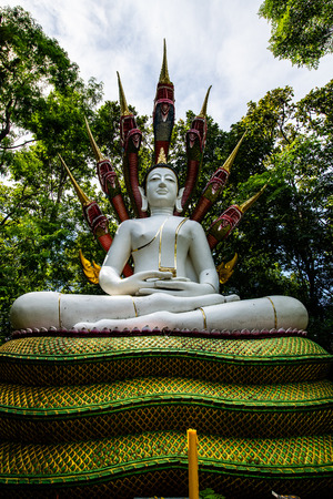Beautiful white Buddha statue in Analyo Thipayaram temple, Thailand.の写真素材