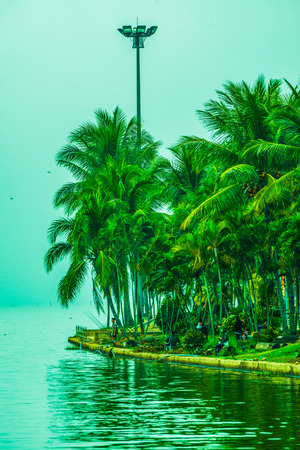 Kwan Phayao lake in winter season, Thailand.のeditorial素材