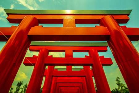 Torii tunnel in Hinoki land, Thailand.のeditorial素材