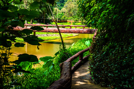 Landscape view of Phu Sang national park, Thailand.の写真素材