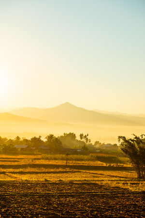 Agricultural field at Pua district in the early morning, Thailand.の写真素材