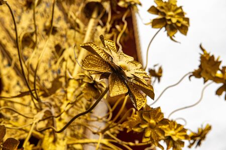 Golden iron flower in the temple, Thailand.の写真素材