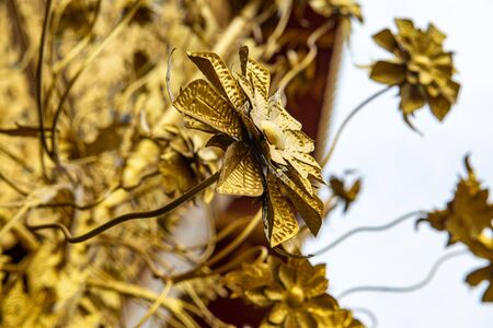 Golden iron flower in the temple, Thailand.の写真素材