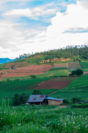 Agricultural area with mountain view of Mae Chaem district in Chiang Mai province, Thailand.の写真素材