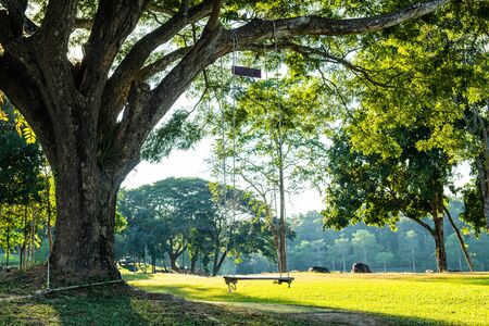 Camping Yard in Mae Puem National Park, Phayao province.