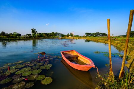 Country view in Chiang Rai province, Thailand.の写真素材