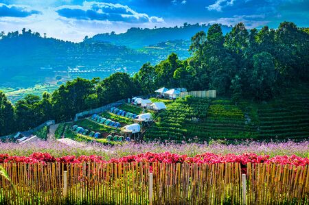 Mountain view at Doi Mon Cham, Chiang Mai province.の写真素材