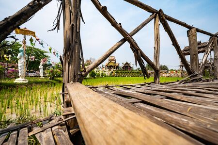 Beautiful park of Tah Mai I temple, Chiang Mai province.の写真素材