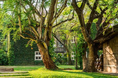 Vintage building with beautiful park in Chiang Mai province, Thailand.の写真素材