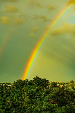 Rainbow with tree foreground at Chiangmai province, Thailand.の写真素材