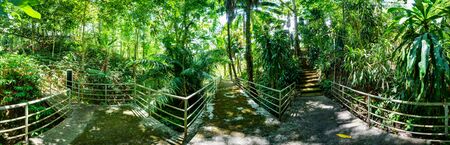 Arboretum Trail in Queen Sirikit Botanic Garden, Chiang Mai Province.