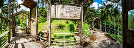 Arboretum Trail in Queen Sirikit Botanic Garden, Chiang Mai Province.の写真素材