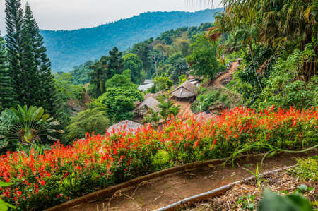 CHIANG MAI, THAILAND - May 17, 2020 : Park at Doi Pui Mong hill tribe village, Chiang Mai province.のeditorial素材