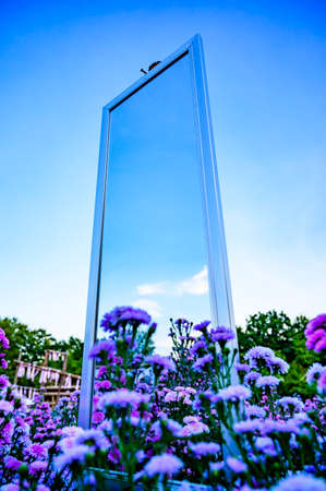 Violet flowers with mirror in the garden, Chiang Mai province.の写真素材