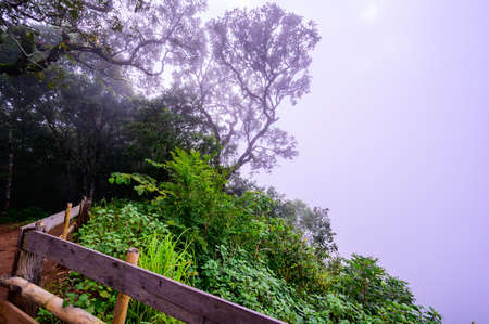 Natural View Point with Fog Background at The Morning, Chiang Mai Province.
