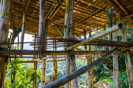Bamboo structure of platform at at Pha Hi village, Chiang Rai province.の写真素材