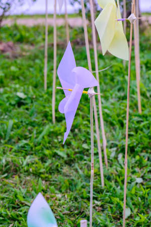 Plastic Violet Wildmill in The Park, Chiangmai Province.
