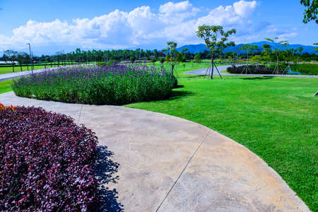 Beautiful Park in Chiang Rai Province, Thailand.