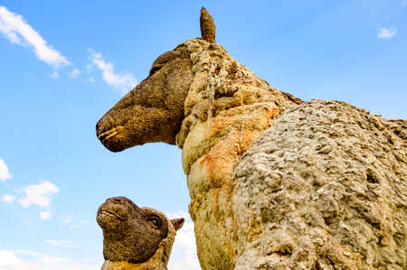 Sheep Straw Puppet with Blue Sky at Chiang Mai Province, Thailand.の写真素材