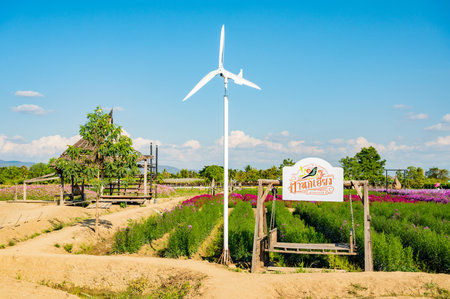 CHIANG MAI, THAILAND - January 1, 2022 :  Beautiful flower garden in Chiangmai province, Thailand.のeditorial素材