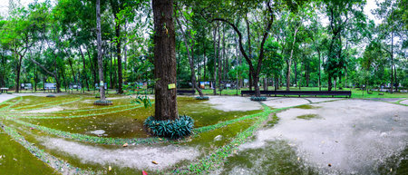 CHIANG MAI, THAILAND - November 18, 2022 : Panorama of Huay Kaew Urban Forest in Chiang Mai Province, Thailand.のeditorial素材