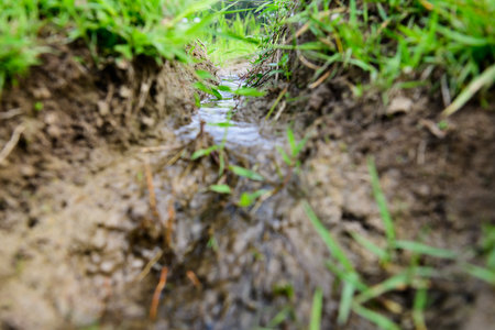 Waterway in the rice fields, Chiang Mai Province.の写真素材
