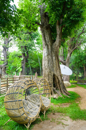 Wicker arch for sitting in the garden, Chiang Mai province.の写真素材