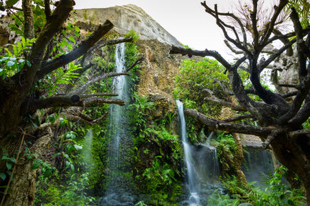 Shady waterfall garden in Chiang Mai provincem, Thailand.の写真素材