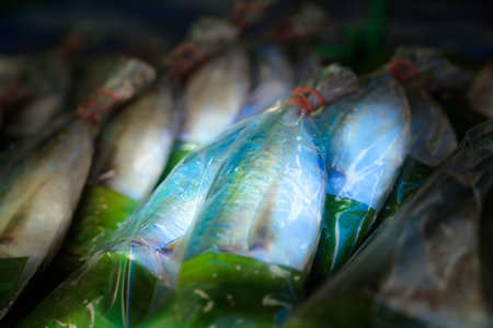 Mackerel fish in plastic bag on stall, Thailand.の写真素材