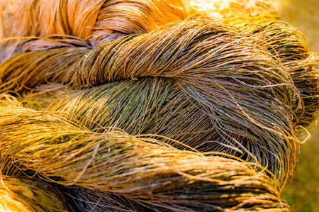 Fiber products from the hemp plant. These are used in handicrafts such as bags and clothing, etc.