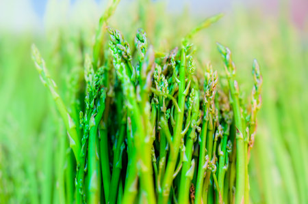 Green Asparagus, healthy organic food on market stall.の写真素材