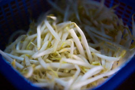 Raw bean sprouts in a blue basket, this fresh vegetable is commonly eaten with Thai food.の写真素材