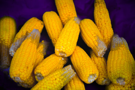 Fresh corn on the fruit stand at flea market in Nakhon Sawan Province, Thailand.