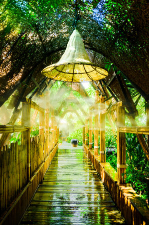 A cool walkway from the steam in a shady garden at Chiang Mai Province, Thailand.の写真素材