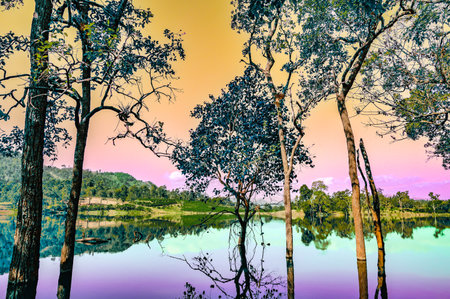 Chiang Mai Series : A lake created from the phenomenon of water springing from underground....