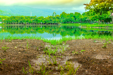 Natural Series : Drainage ditch on the lake bank in the morning. Grass with dew by the reservoir. Lake view amidst cool weather in the rainy season at Chiang Mai province.の写真素材