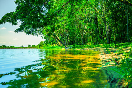 Landscape Series : View of Huay Tueng Thao Lake in Chiang Mai Province. Shady lakes and cool air. Abstract of nature. Beautiful scenery of lake view.の写真素材