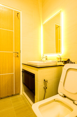 Home Decoration Series : Modern bathroom decoration with high ceiling and warm white lights. Bathroom interior with a simple style design. Toilet of a minimalist style house.の写真素材