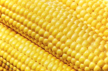 close-up of yellow maize grain