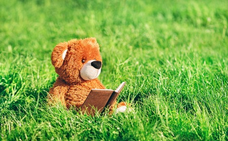toy bear sits with a book in the grassの写真素材