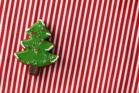 Gingerbread christmas tree cookie on a bright striped candy cane backgroundの写真素材