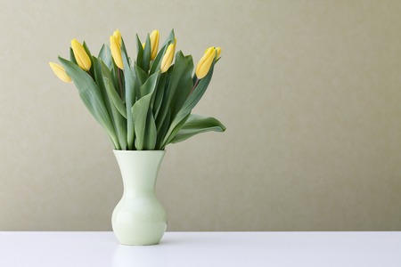 Yellow spring tulips bouquet in a light green vase on a green wallpaper backgroundの写真素材