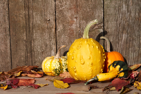Autumn pumpkins on old barn wooden boards backgroundの写真素材