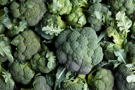 Fresh green broccoli background. Healthy food concept.の写真素材
