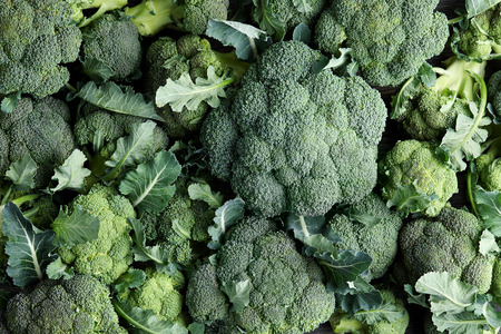 Fresh green broccoli background. Healthy food concept.の写真素材