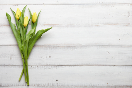 Spring yellow tulips on white wooden boards, top viewの写真素材